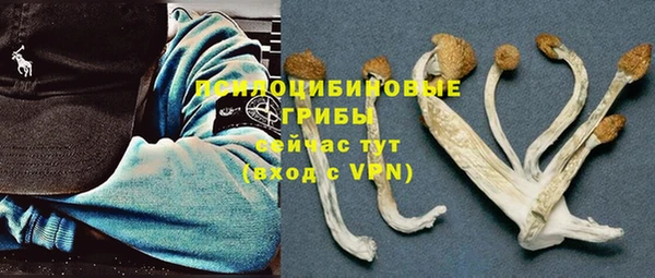 мдпв Липки
