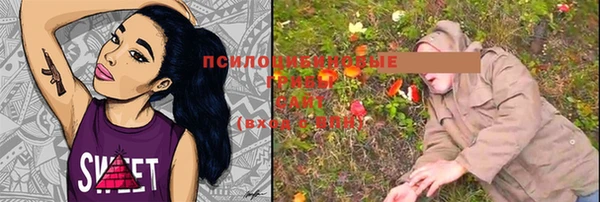 таблы Ладушкин